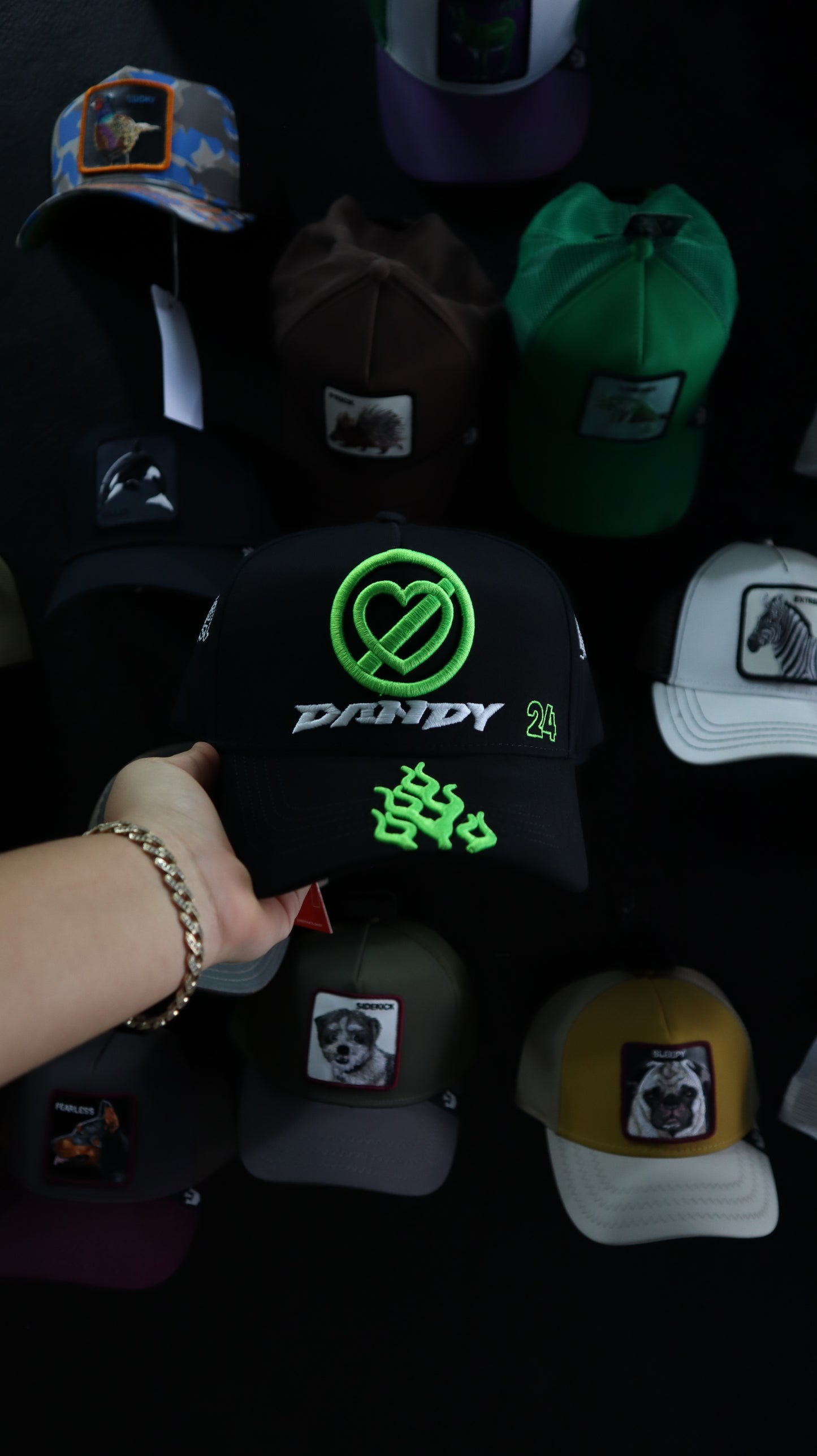 DANDY HATS X FUERZA REGIDA
