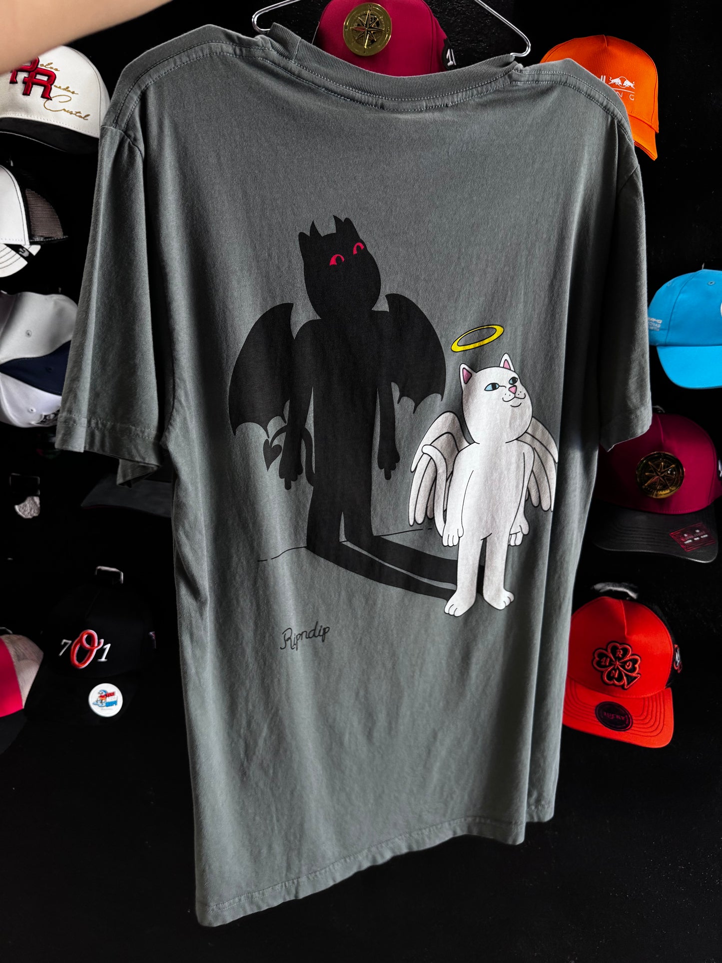RIPNDIP