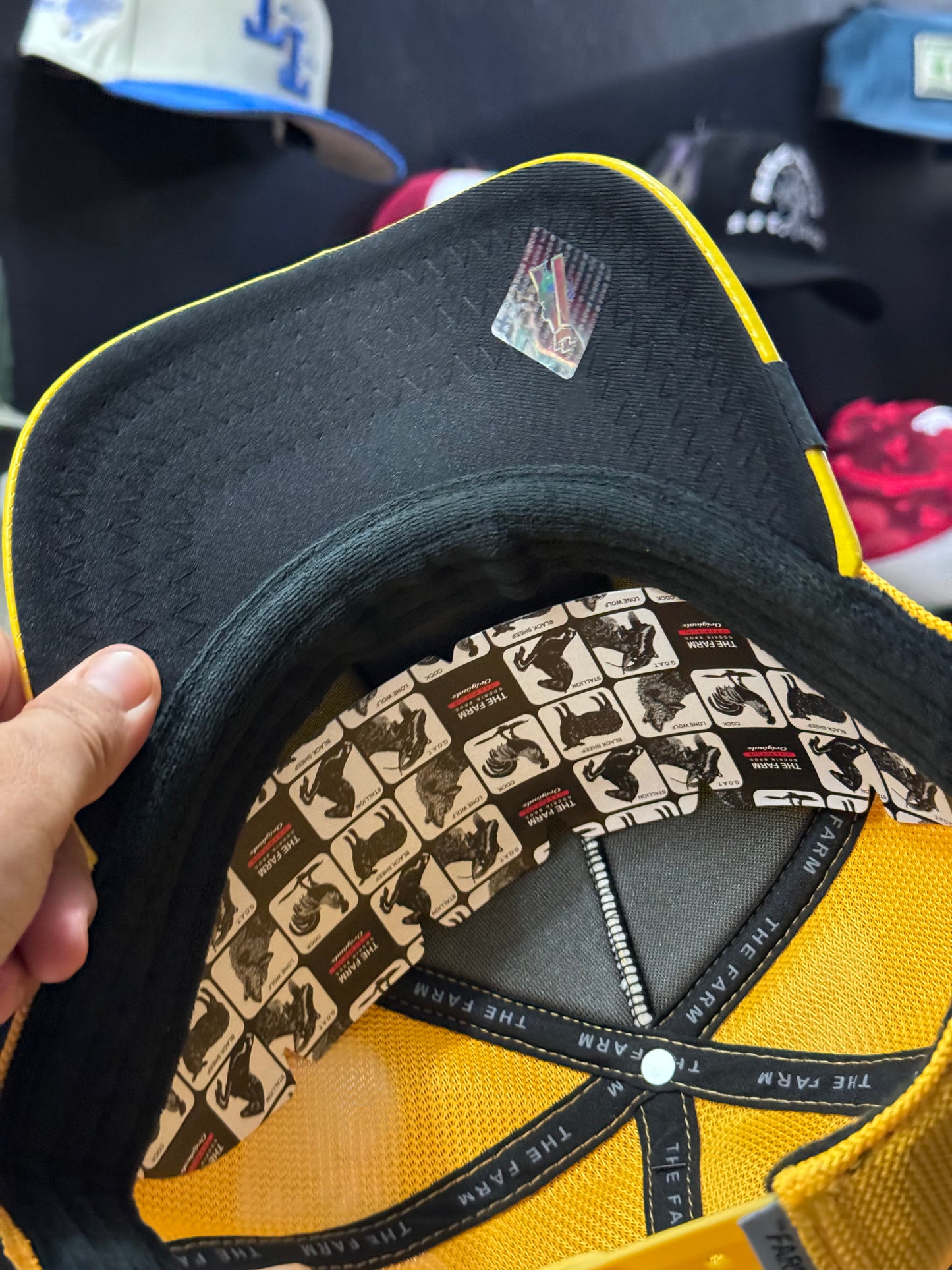 GOORIN BROS MAMBA PROMOCIÓN