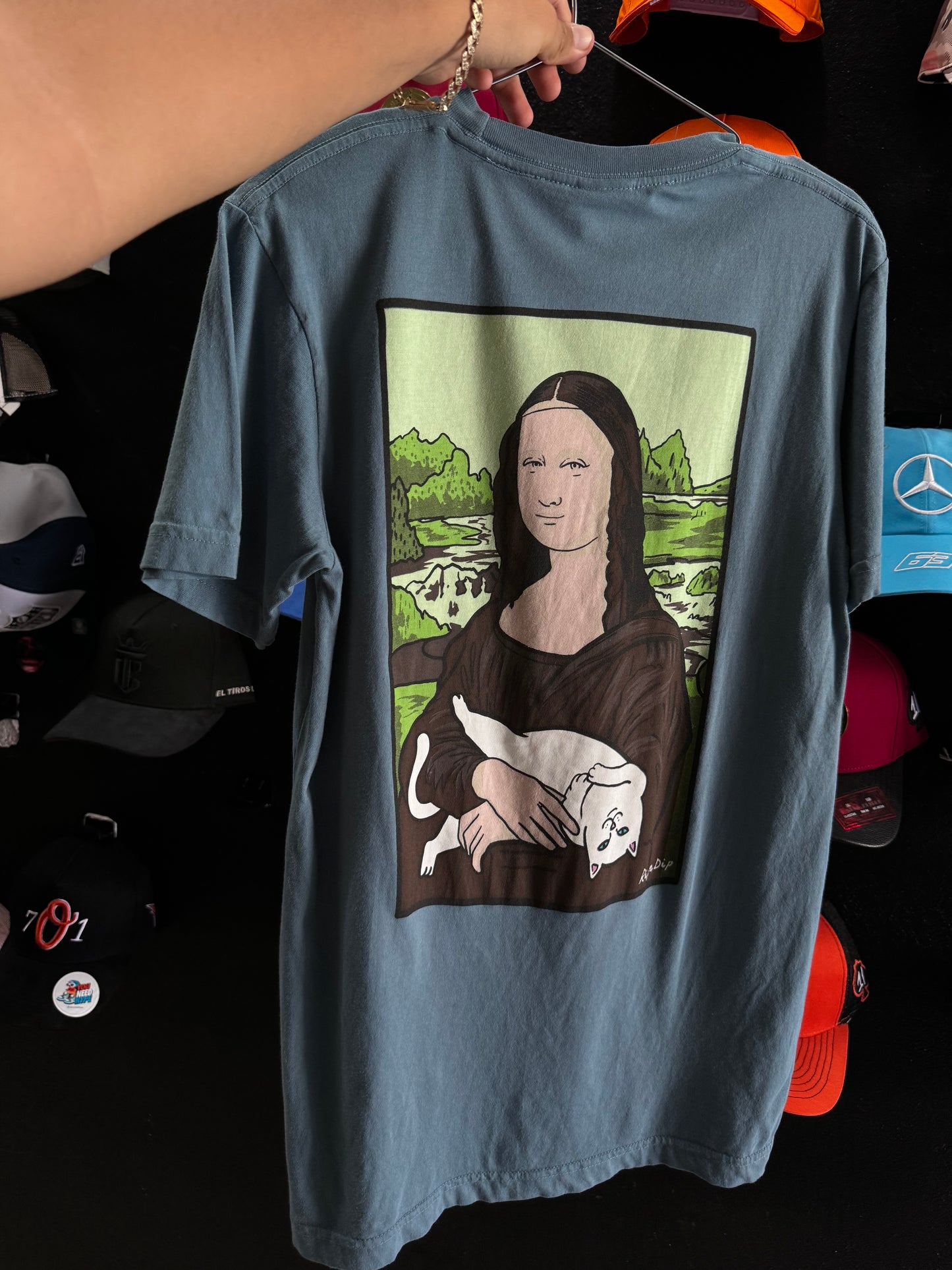 RIPNDIP
