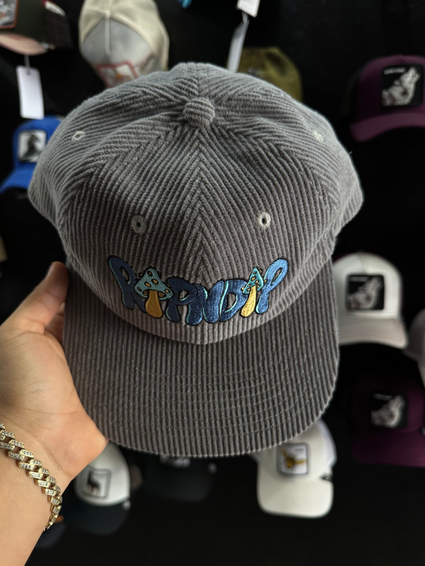 RIPNDIP