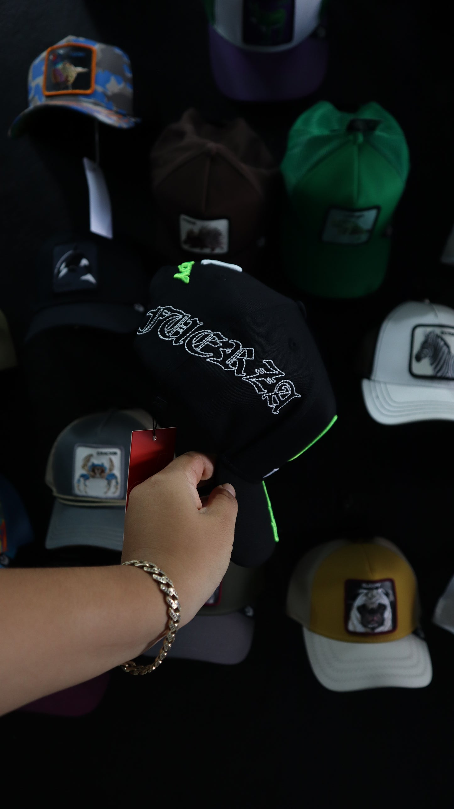 DANDY HATS X FUERZA REGIDA