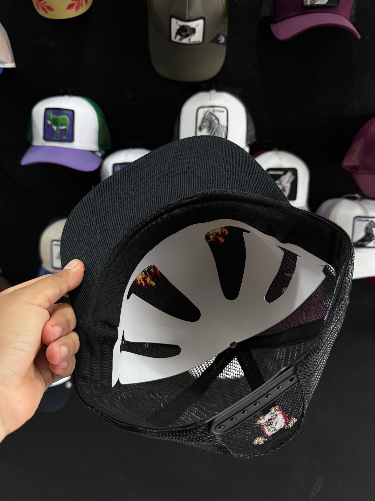 RIPNDIP