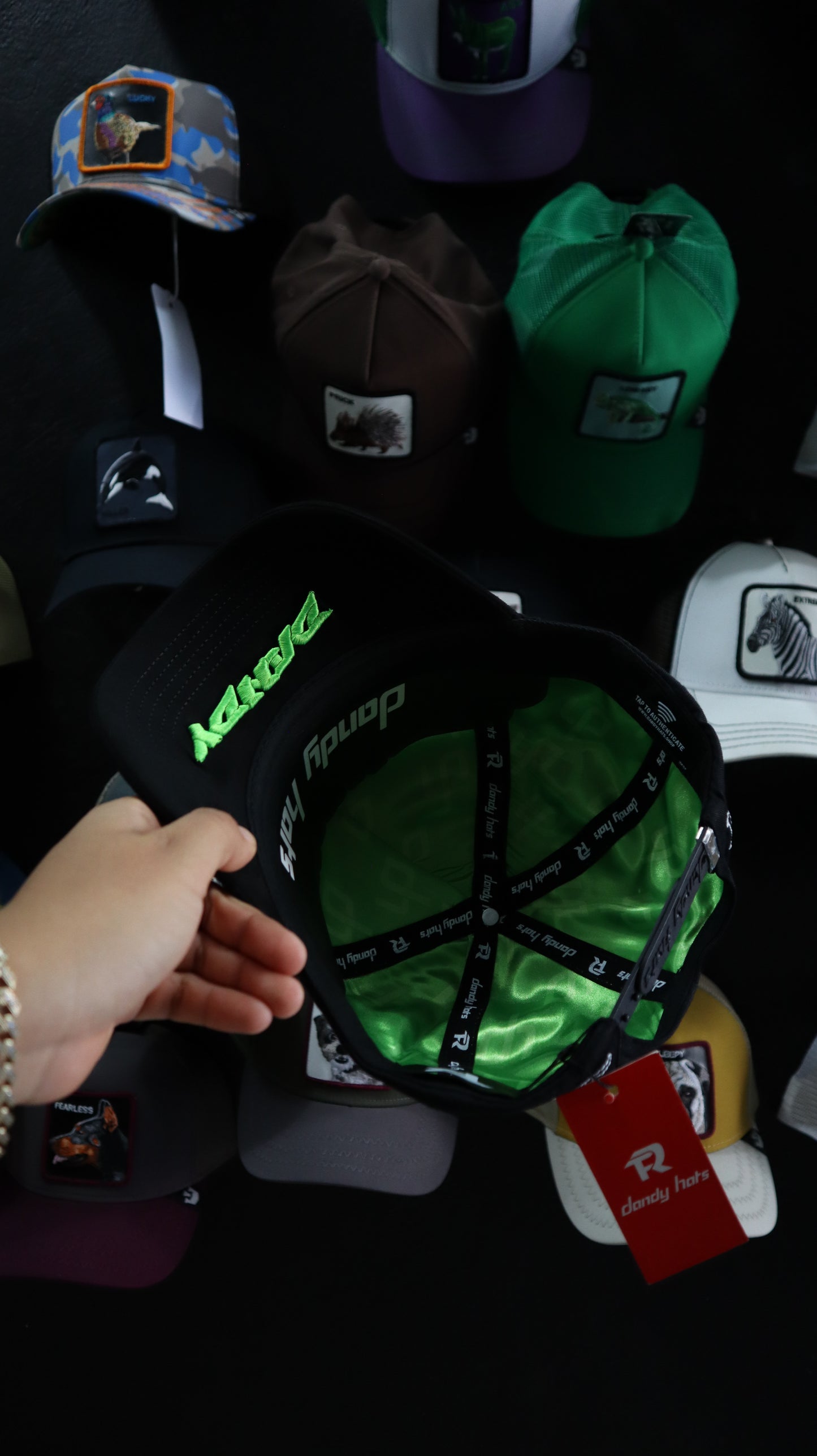 DANDY HATS X FUERZA REGIDA