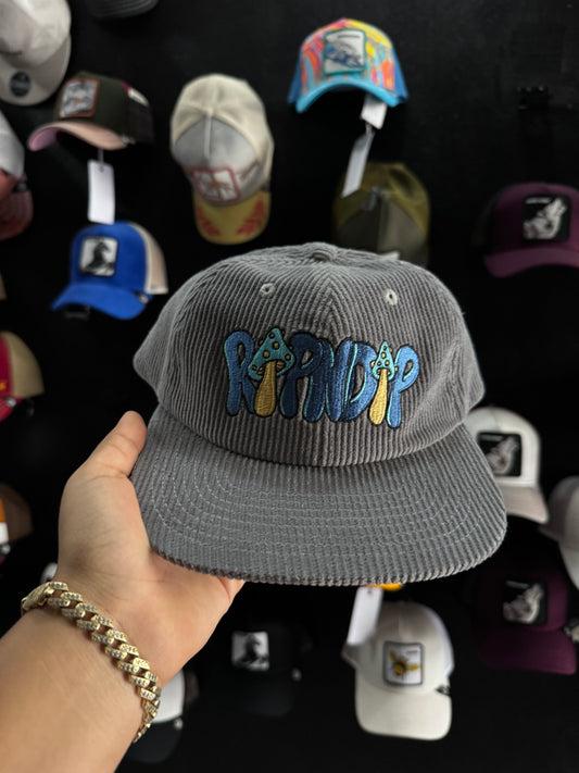 RIPNDIP