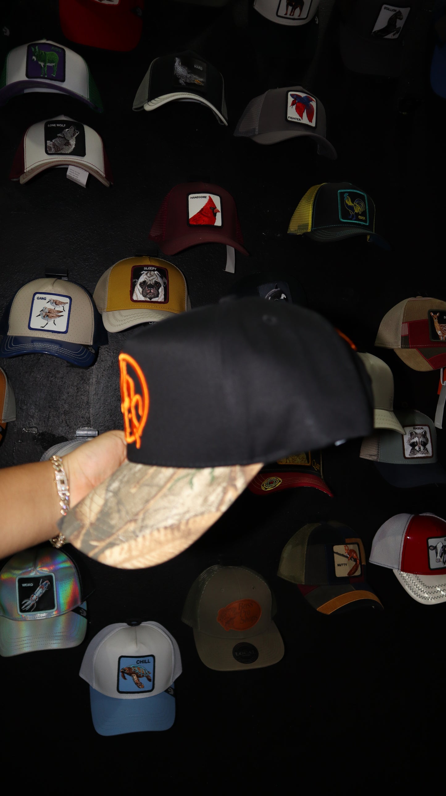 DANDY HATS X LOST HILLS 162/200