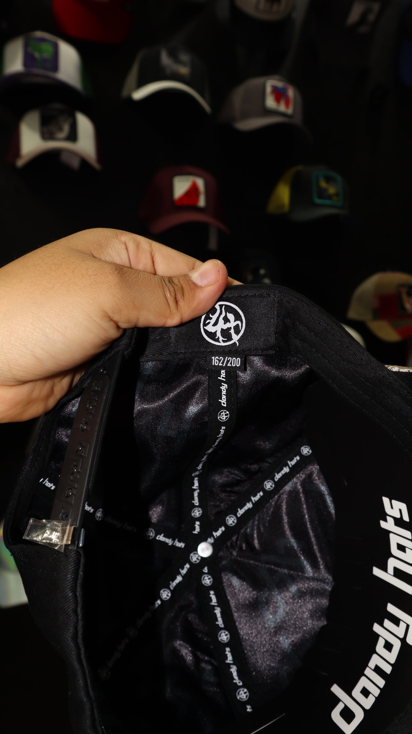 DANDY HATS X LOST HILLS 162/200