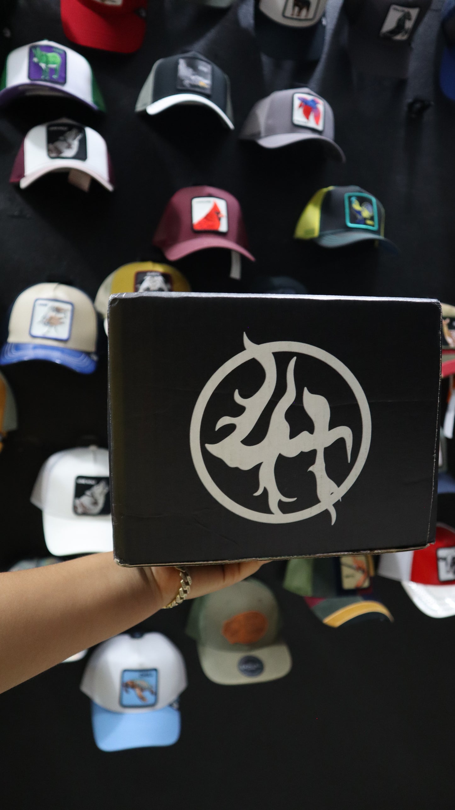 DANDY HATS X LOST HILLS 162/200