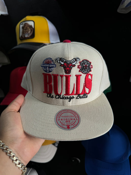 MITCHELL & NEDD THE CHICAGO BULLS