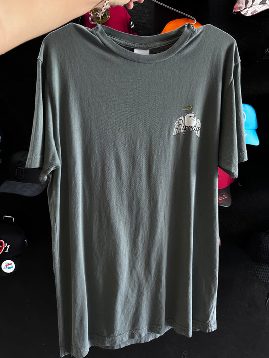 RIPNDIP