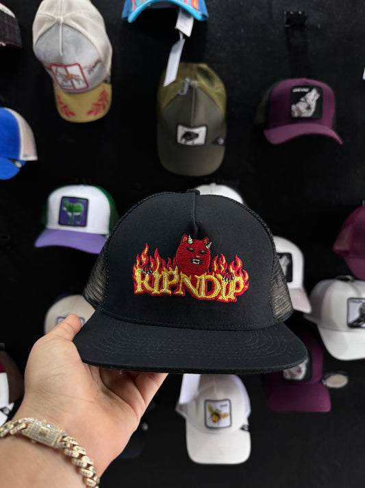 RIPNDIP